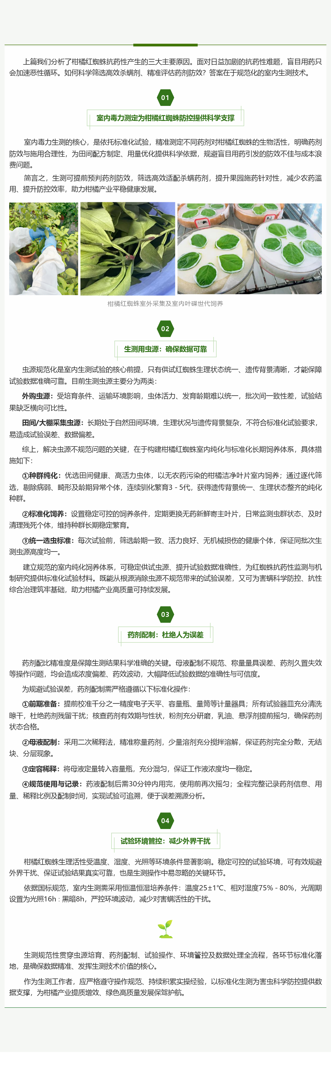 柑橘红蜘蛛：生测标准操作详解