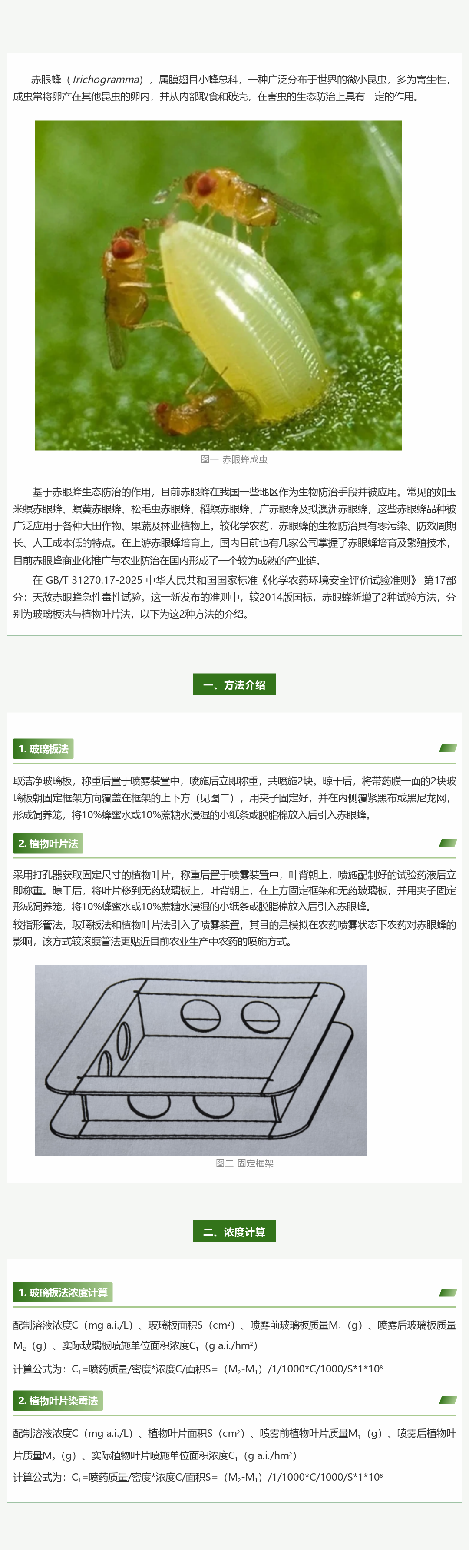 赤眼蜂急性毒性试验新标解读：两种新增方法怎么测？